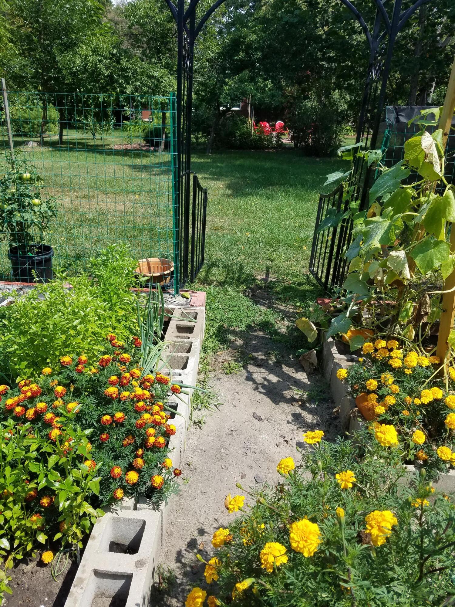 8814 Lee Street Crown Point, IN 46307 - Photo 46 of 47 1500x2000