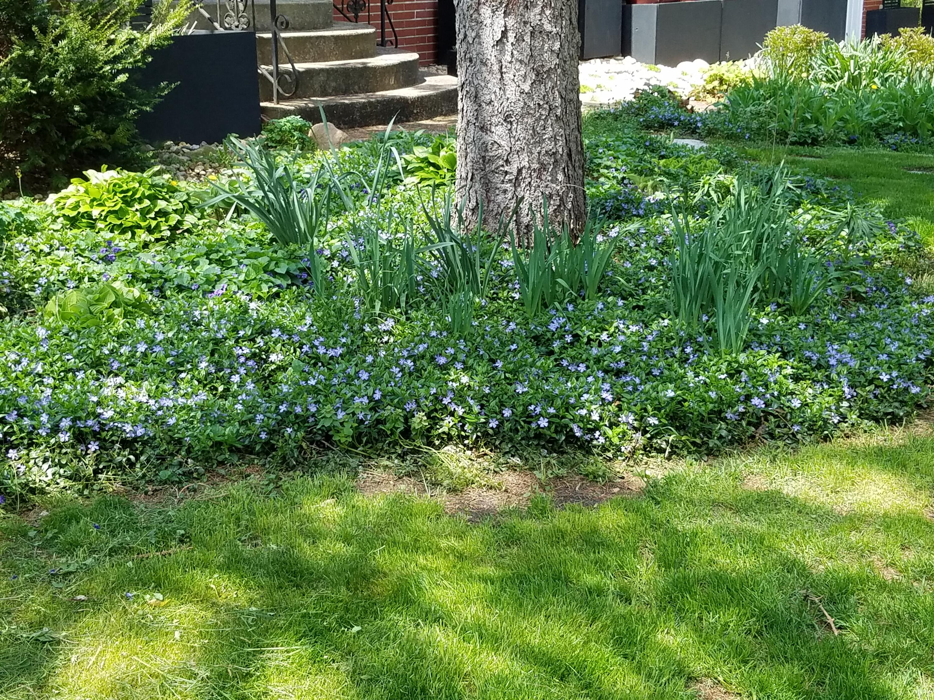 8814 Lee Street Crown Point, IN 46307 - Photo 47 of 47 3000x2250