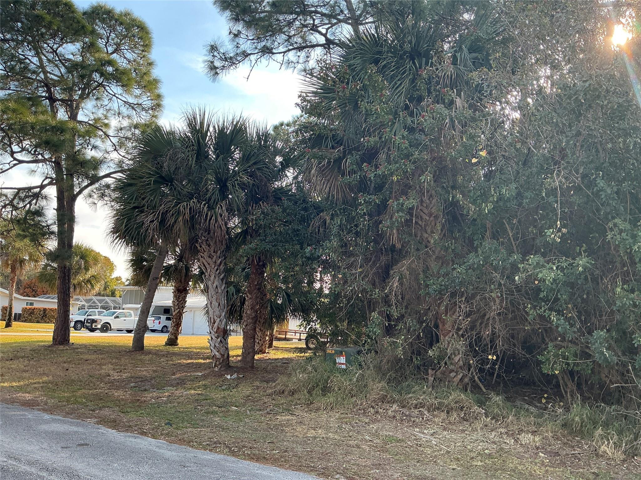 557 Drawdy Way Sebastian, FL 32958 - Photo 3 of 6 a tree in the middle of a yard