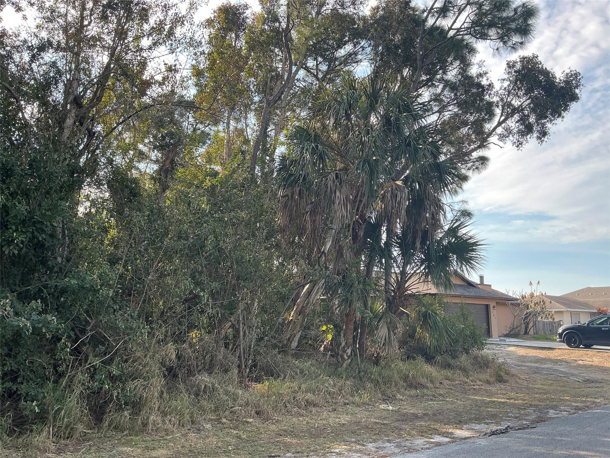 557 Drawdy Way Sebastian, FL 32958 - Photo 4 of 6 a view of a dry yard with trees