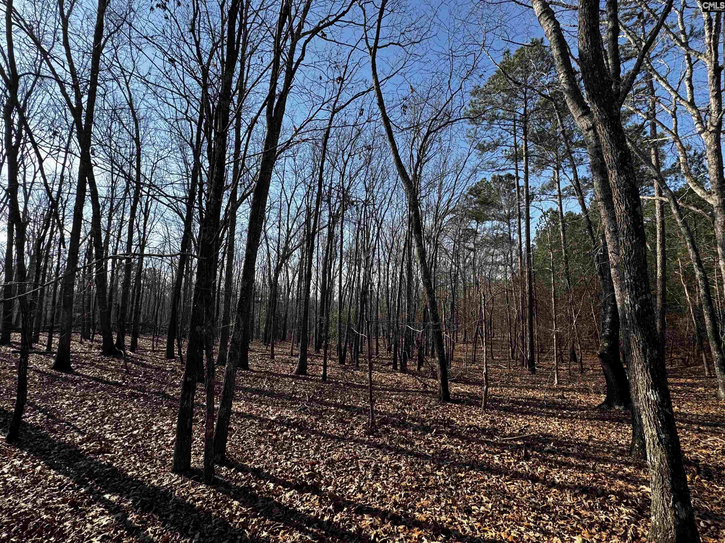 0 Mann Road Winnsboro, SC 29180 - Photo 16 of 22