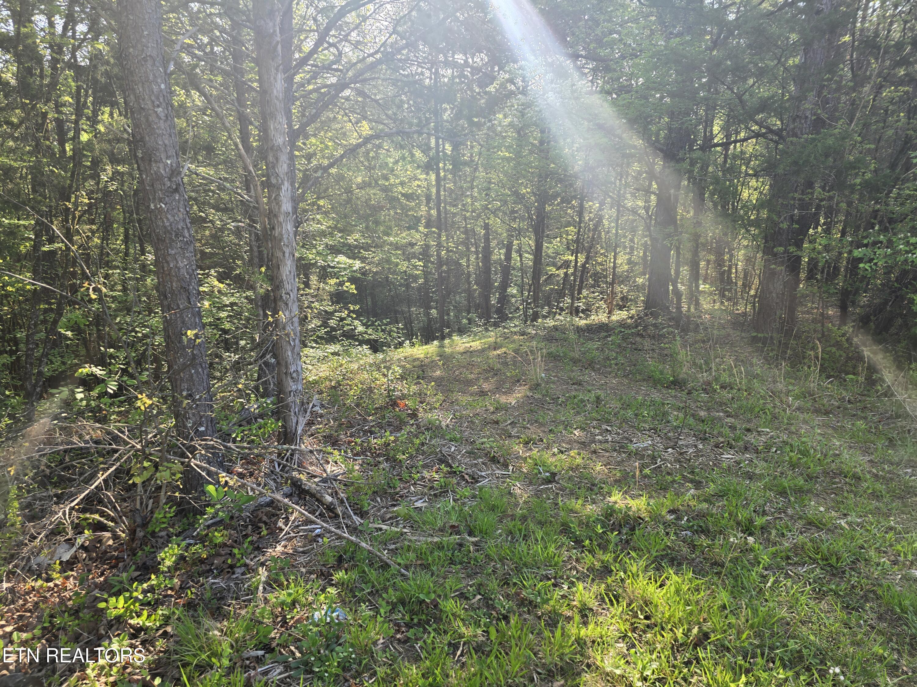 0 Bales Road Road Knoxville, TN 37914 - Photo 1 of 4 1000011561
