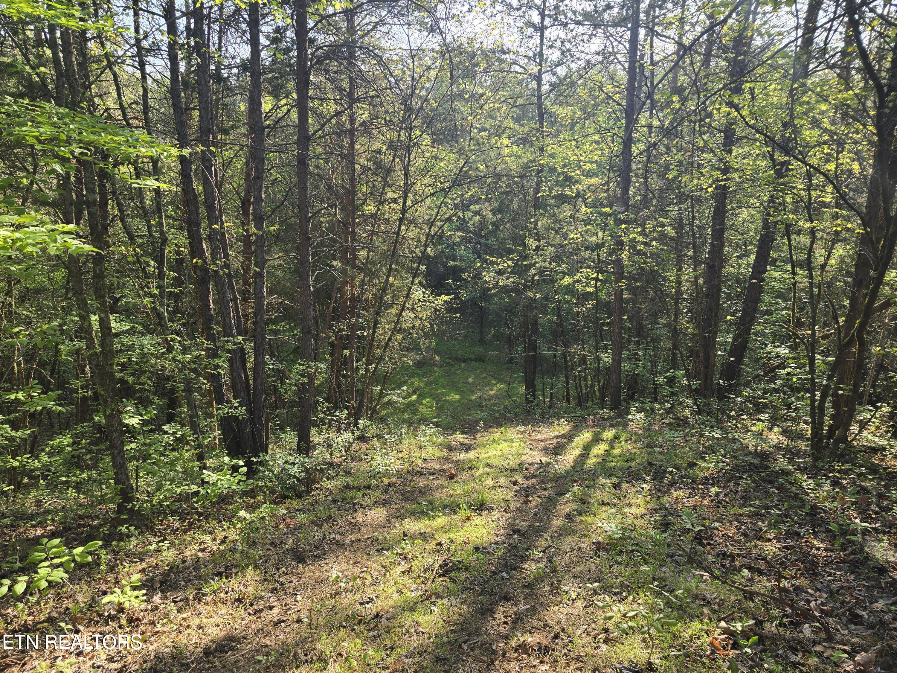 0 Bales Road Road Knoxville, TN 37914 - Photo 2 of 4 1000011562