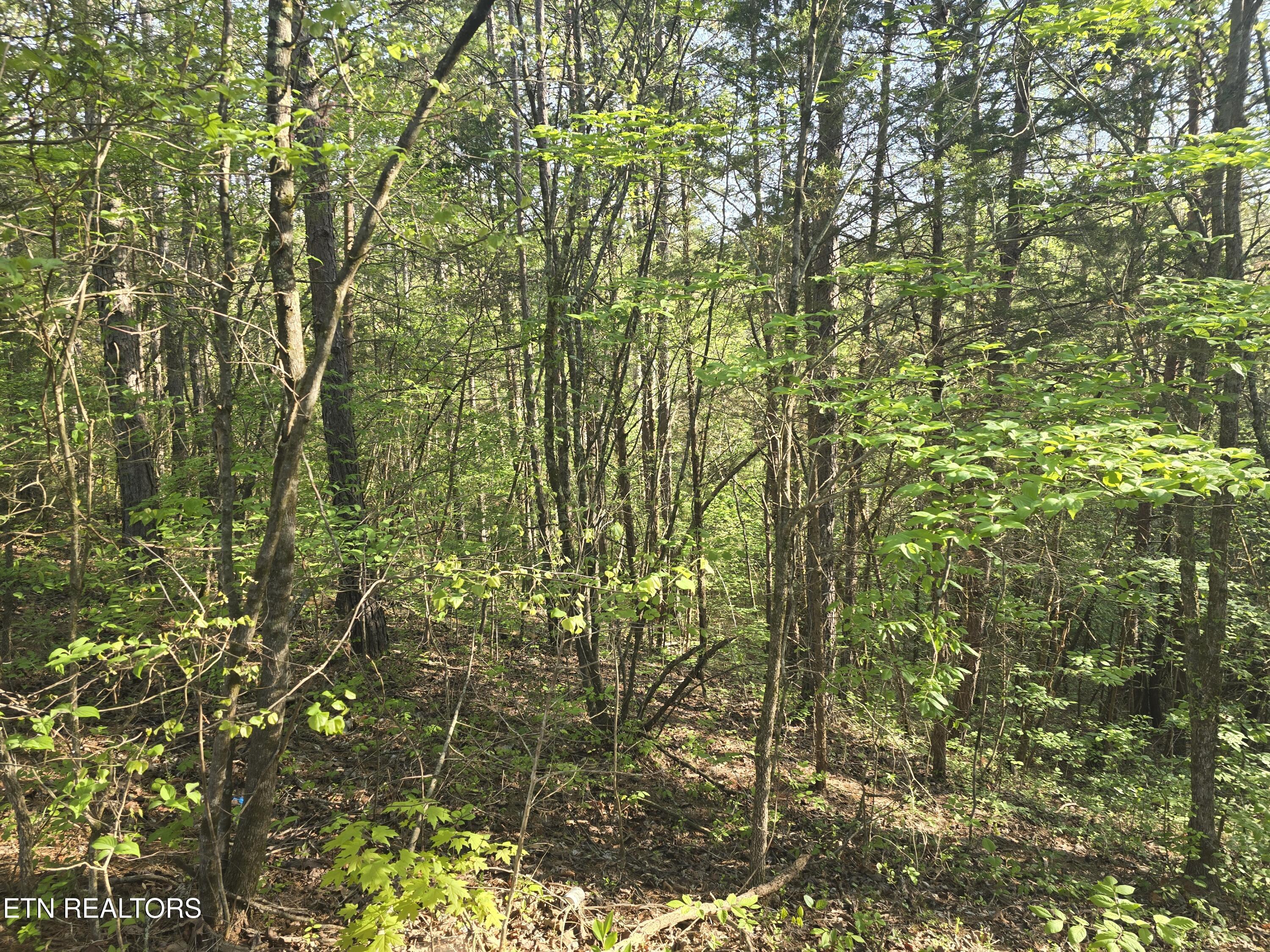 0 Bales Road Road Knoxville, TN 37914 - Photo 3 of 4 1000011563