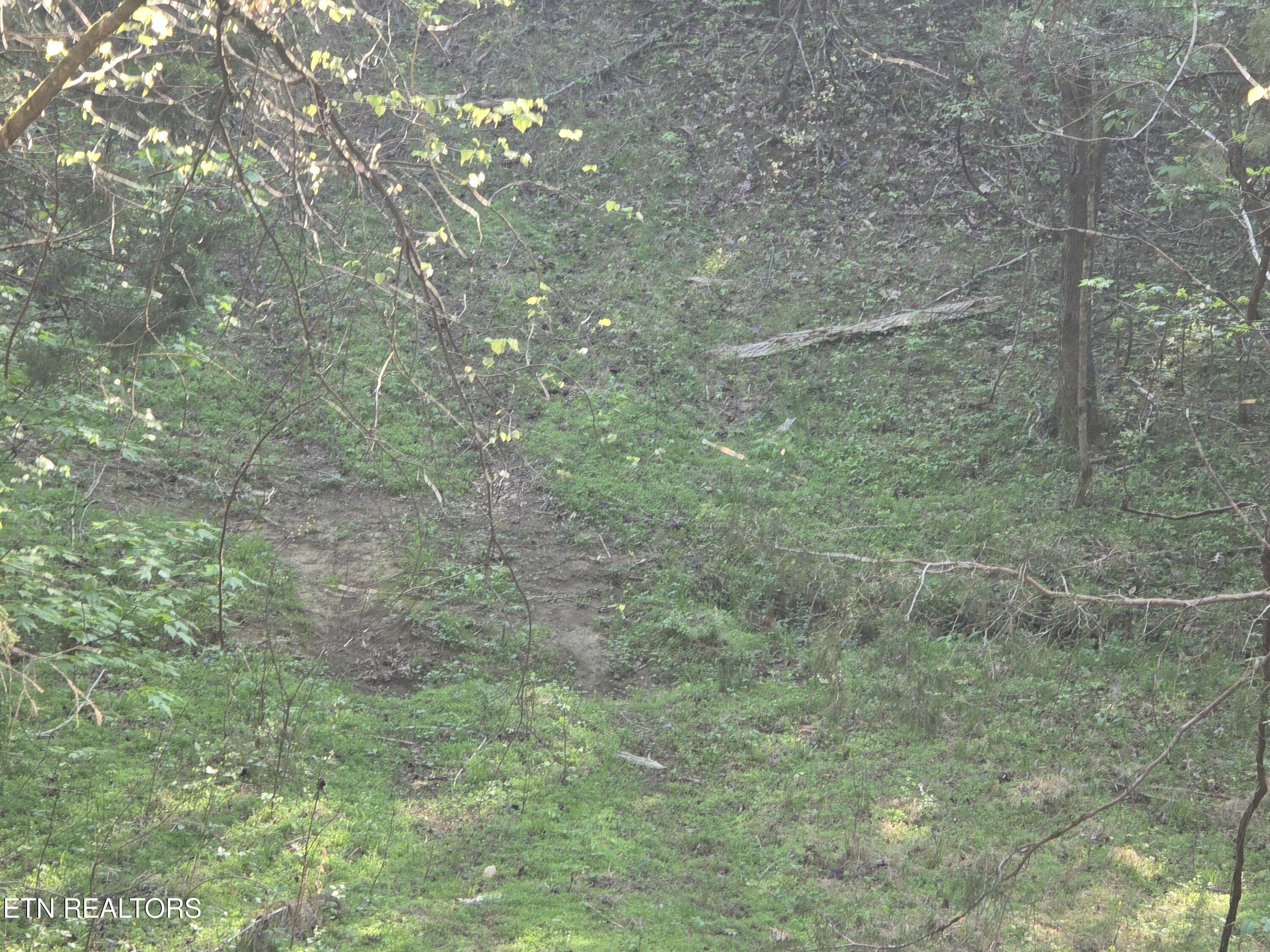0 Bales Road Road Knoxville, TN 37914 - Photo 4 of 4 1000011564