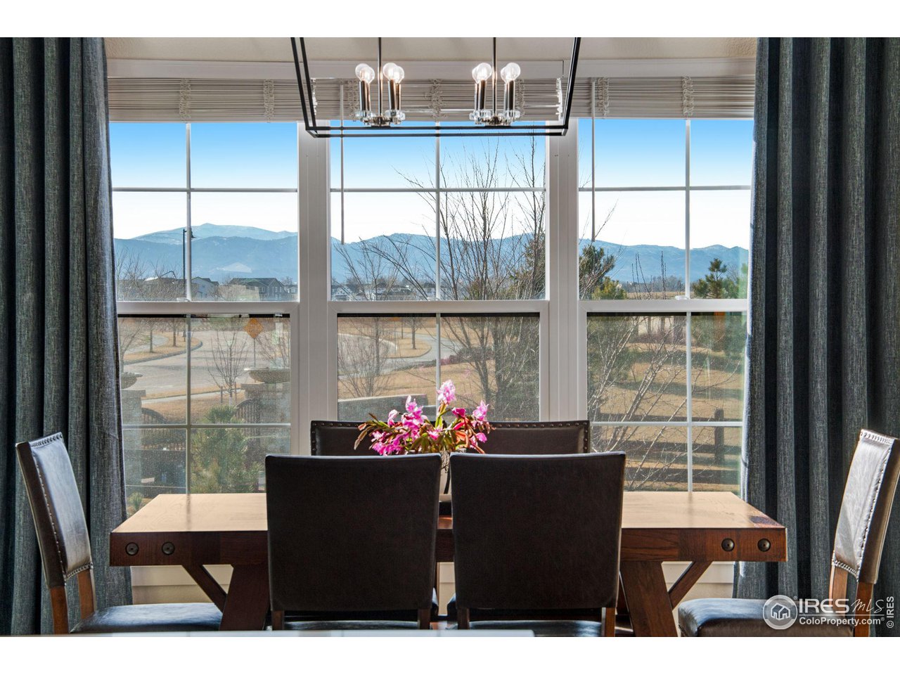6278 Foundry Court Timnath, CO 80547 - Photo 15 of 40 a view of a dining room with furniture window and outside view