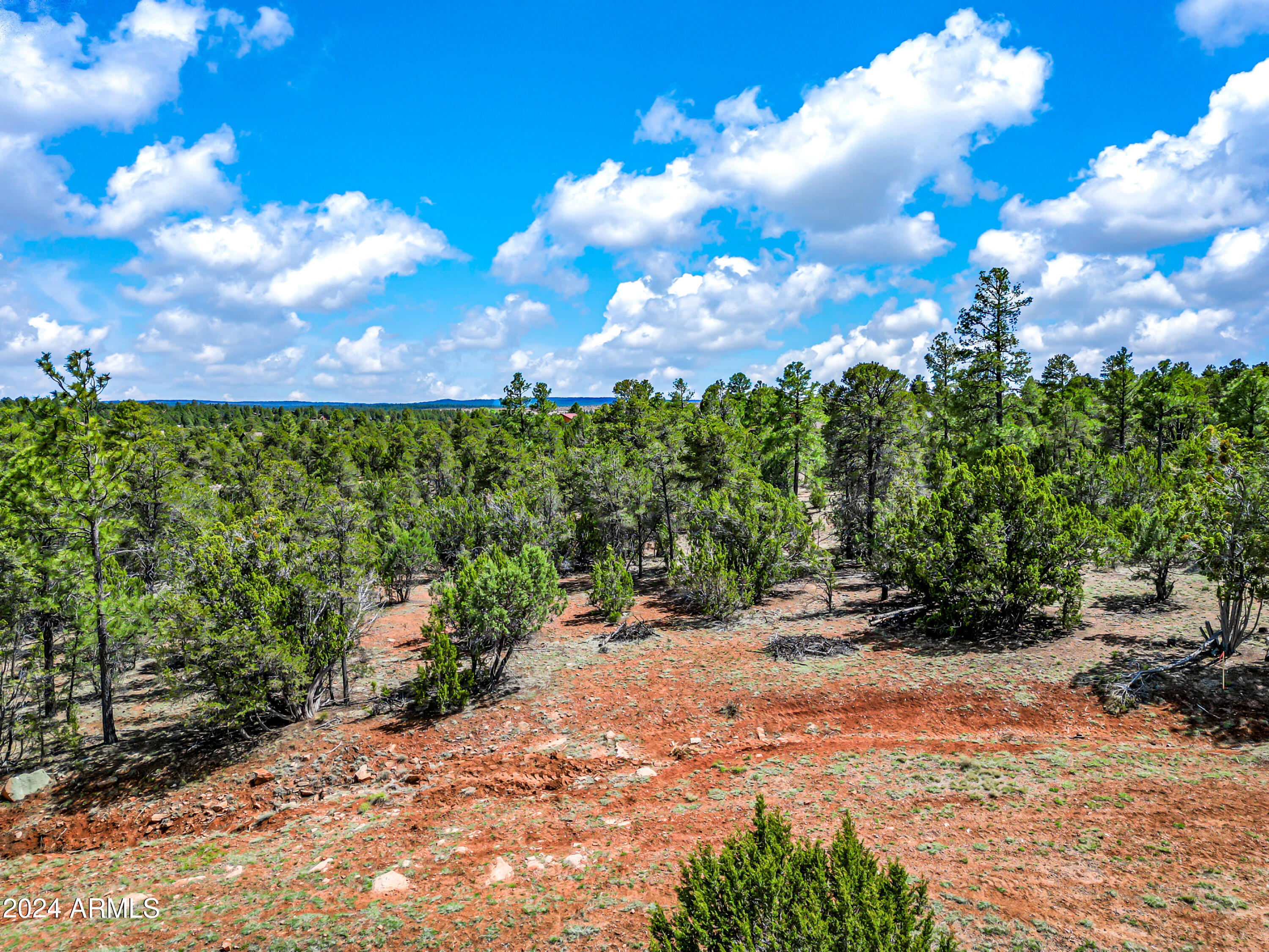 2255 Bootlegger Drive, Unit 2 Overgaard, AZ 85933 - Photo 17 of 35 17-BootleggerABC-ocupix