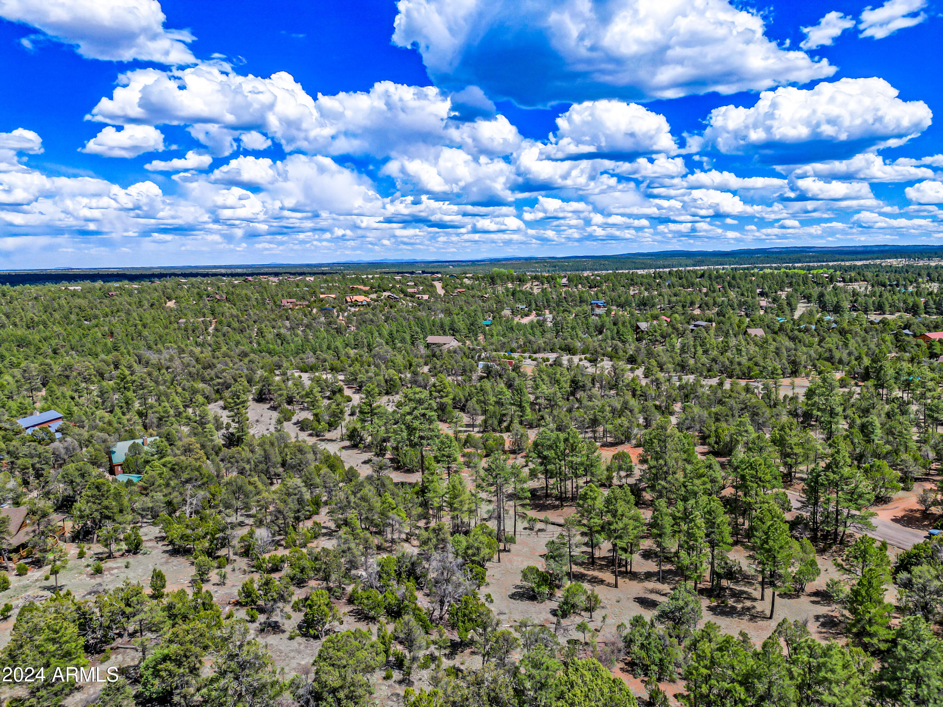 2255 Bootlegger Drive, Unit 2 Overgaard, AZ 85933 - Photo 6 of 35 6-BootleggerABC-ocupix