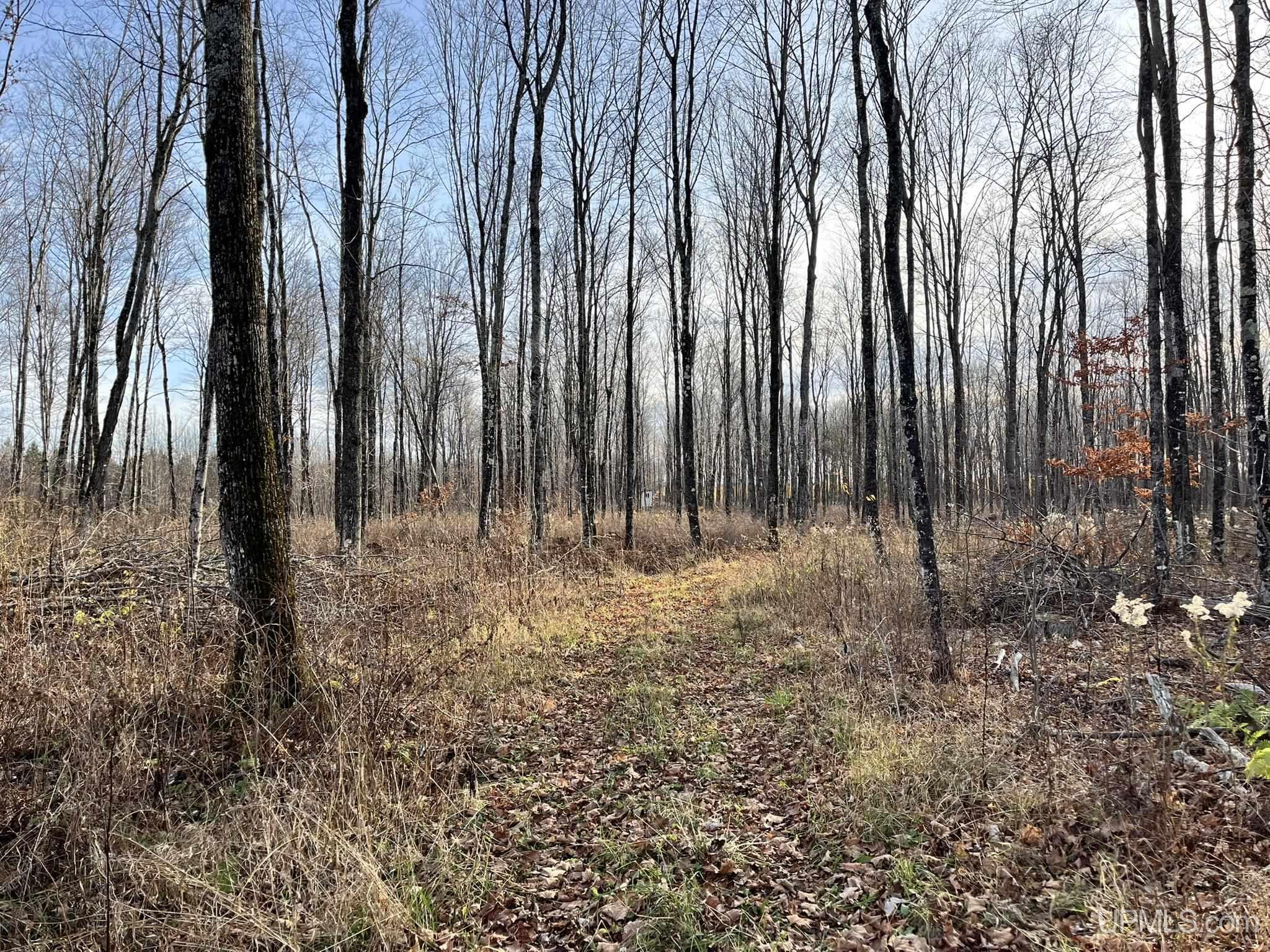 1505 Quarry Road Gulliver, MI 49840 - Photo 31 of 52 Gallery Image 31