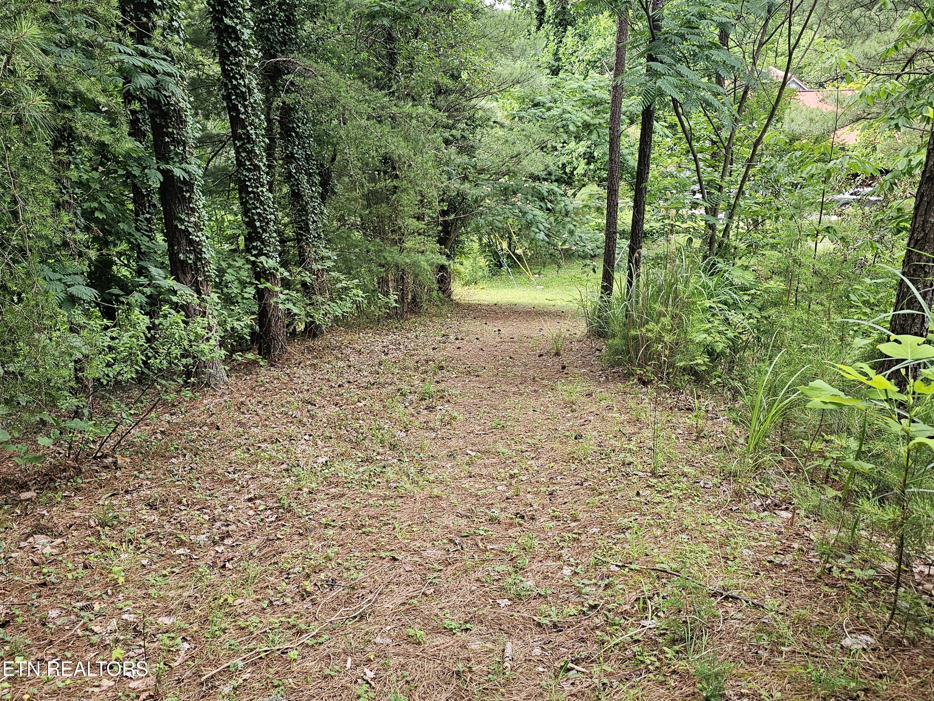 925 Tweed Springs Road Greeneville, TN 37743 - Photo 42 of 53 20260618_173440