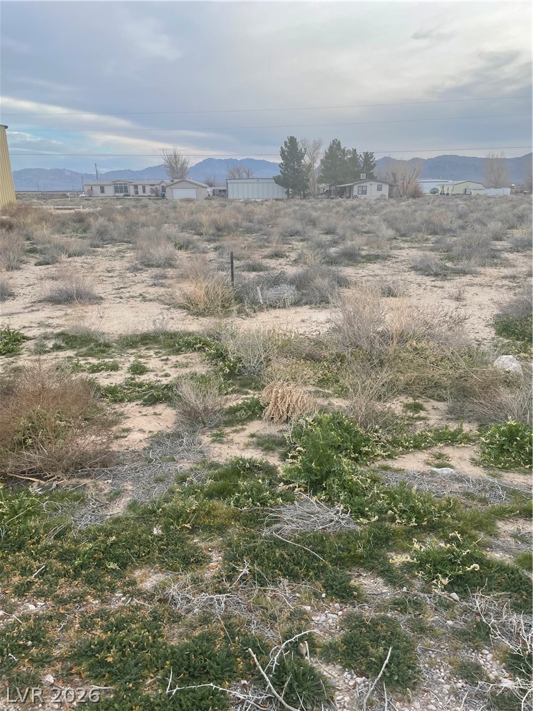 915 Beech Avenue Sandy Valley, NV 89019 - Photo 4 of 8