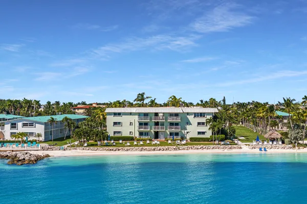 a front view of multiple houses with yard