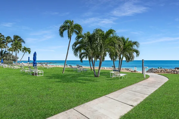 a view of a park with a palm trees