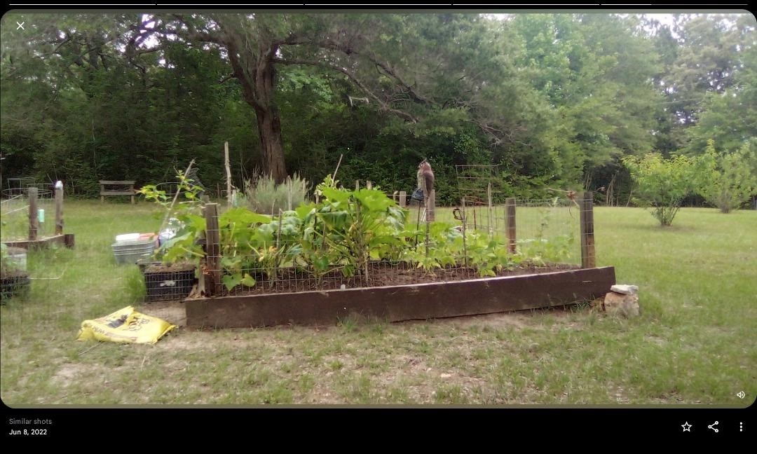 427 County Road 4822 Timpson, TX 75975 - Photo 7 of 23 a view of swimming pool from a yard