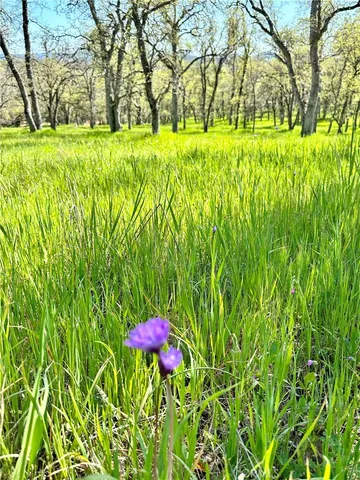 $439,990 | 0 Old Wards Ferry Road, Sonora, CA 95370