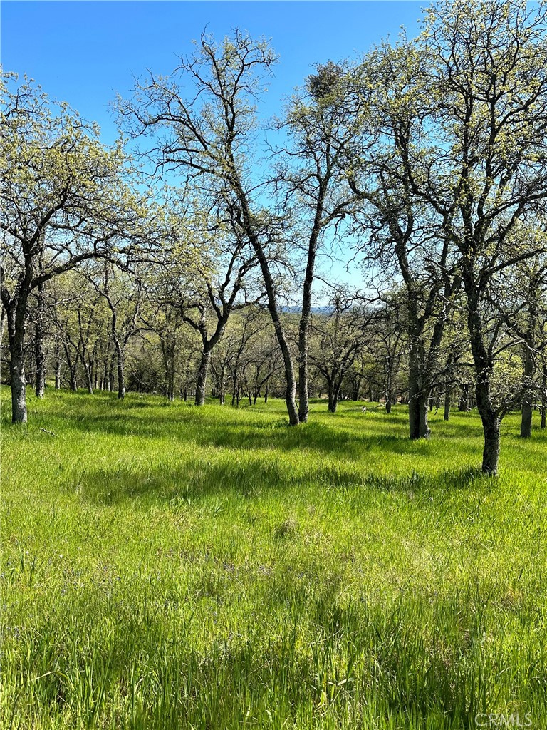 0 Old Wards Ferry Road Sonora, CA 95370 - Photo 13 of 15