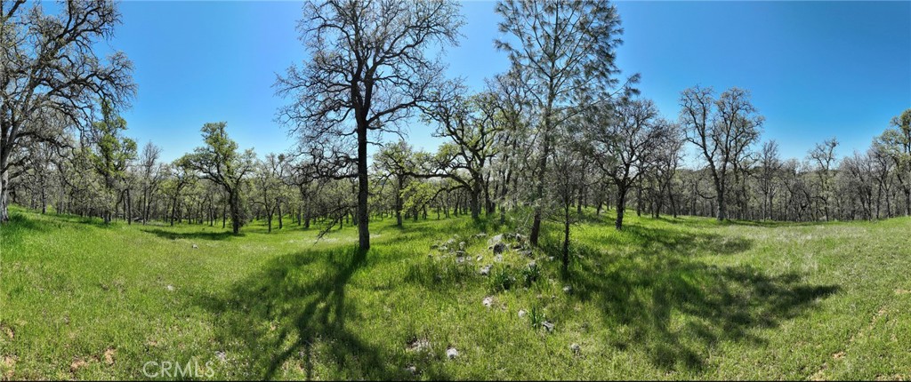 0 Old Wards Ferry Road Sonora, CA 95370 - Photo 7 of 15