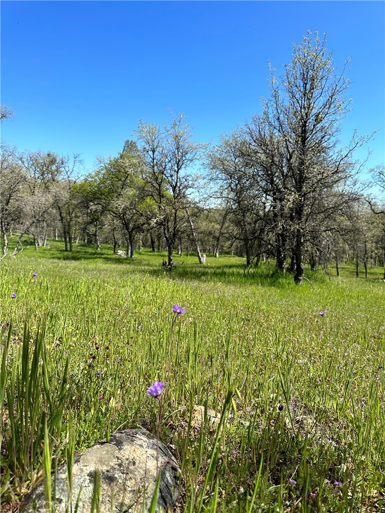 0 Old Wards Ferry Road Sonora, CA 95370 - Photo 10 of 15