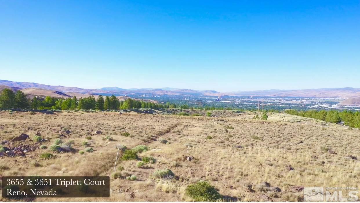 3651 Triplett Court Reno, NV 89511 - Photo 17 of 31 Photo 18