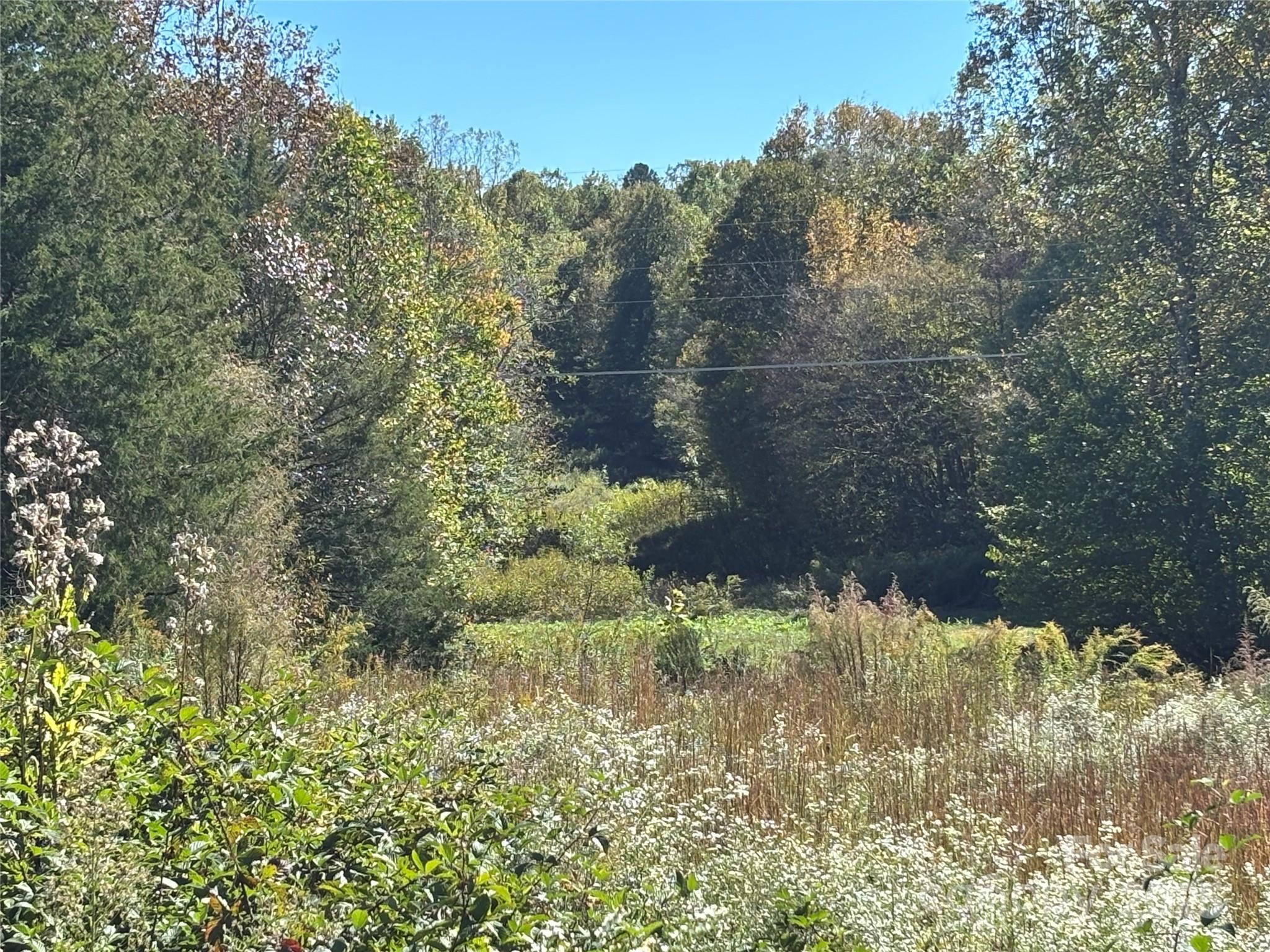 a view of a lake with a yard and mountain