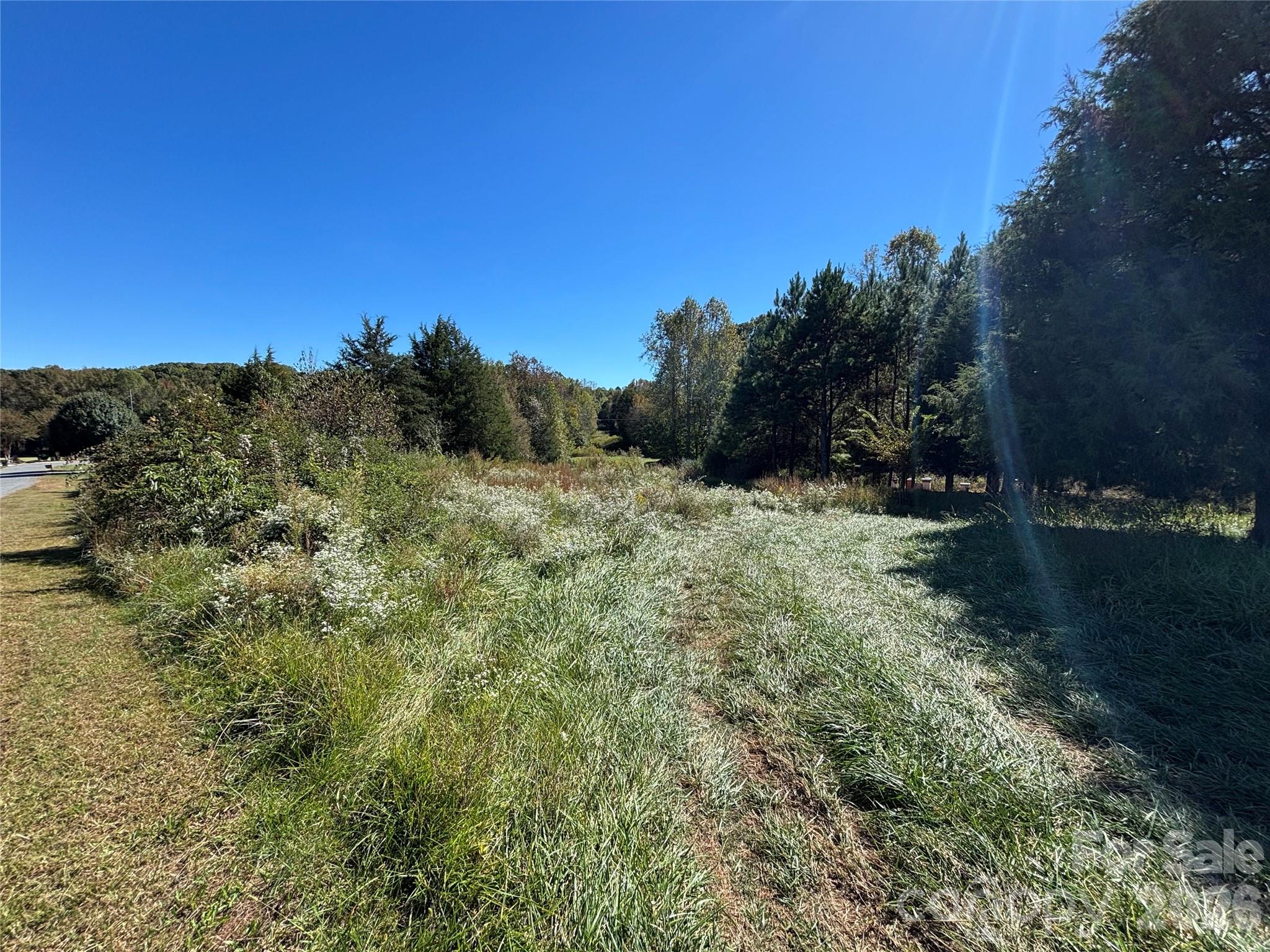 111 Sheep Path Drive Mooresville, NC 28115 - Photo 6 of 11 a view of a forest that has a tree