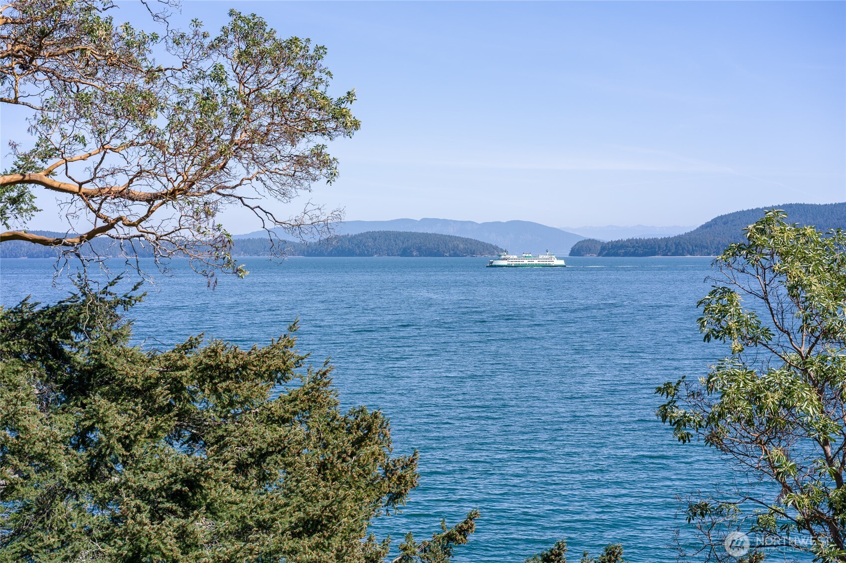 208 Tides End Road Lopez Island, WA 98261 - Photo 12 of 40 a view of a bunch of plants and trees