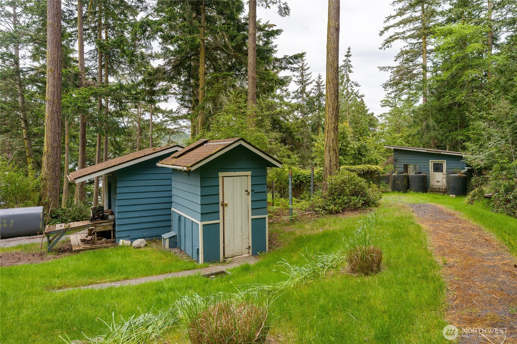 208 Tides End Road Lopez Island, WA 98261 - Photo 37 of 40 a view of a backyard with barn plants and large tree