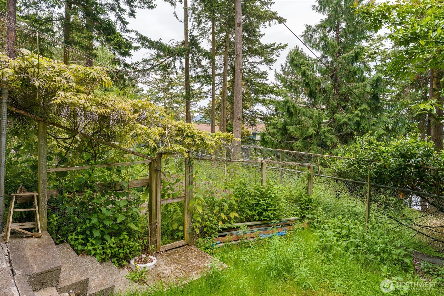 208 Tides End Road Lopez Island, WA 98261 - Photo 38 of 40 a view of lake with green space