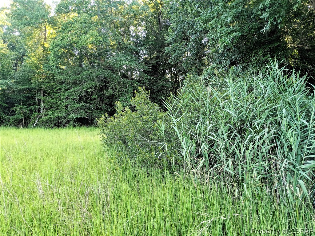 3938 Paradise Point Road Hayes, VA 23072 - Photo 29 of 30 Gallery Image 29