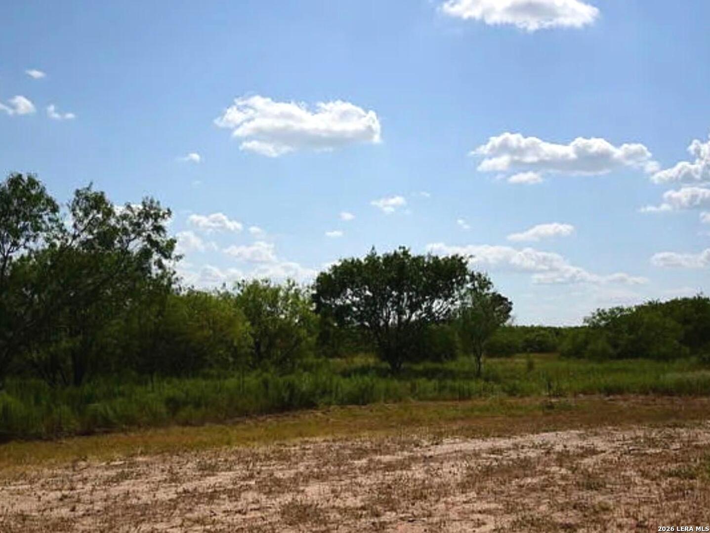 155 Hidden Ranch Court Floresville, TX 78114 - Photo 3 of 5