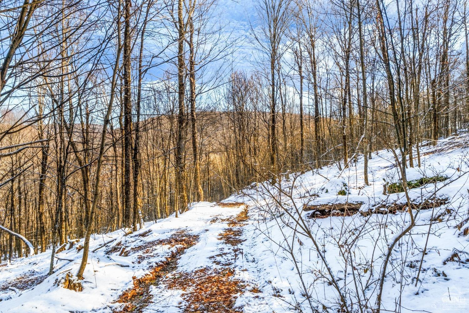 0 State Route 28 Andes, NY 13731 - Photo 13 of 34 a view of a backyard of snow