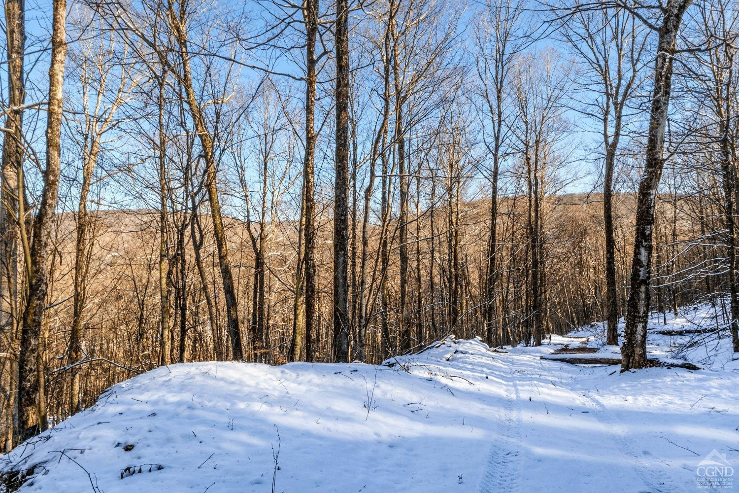 0 State Route 28 Andes, NY 13731 - Photo 15 of 34 a view of backyard space and trees