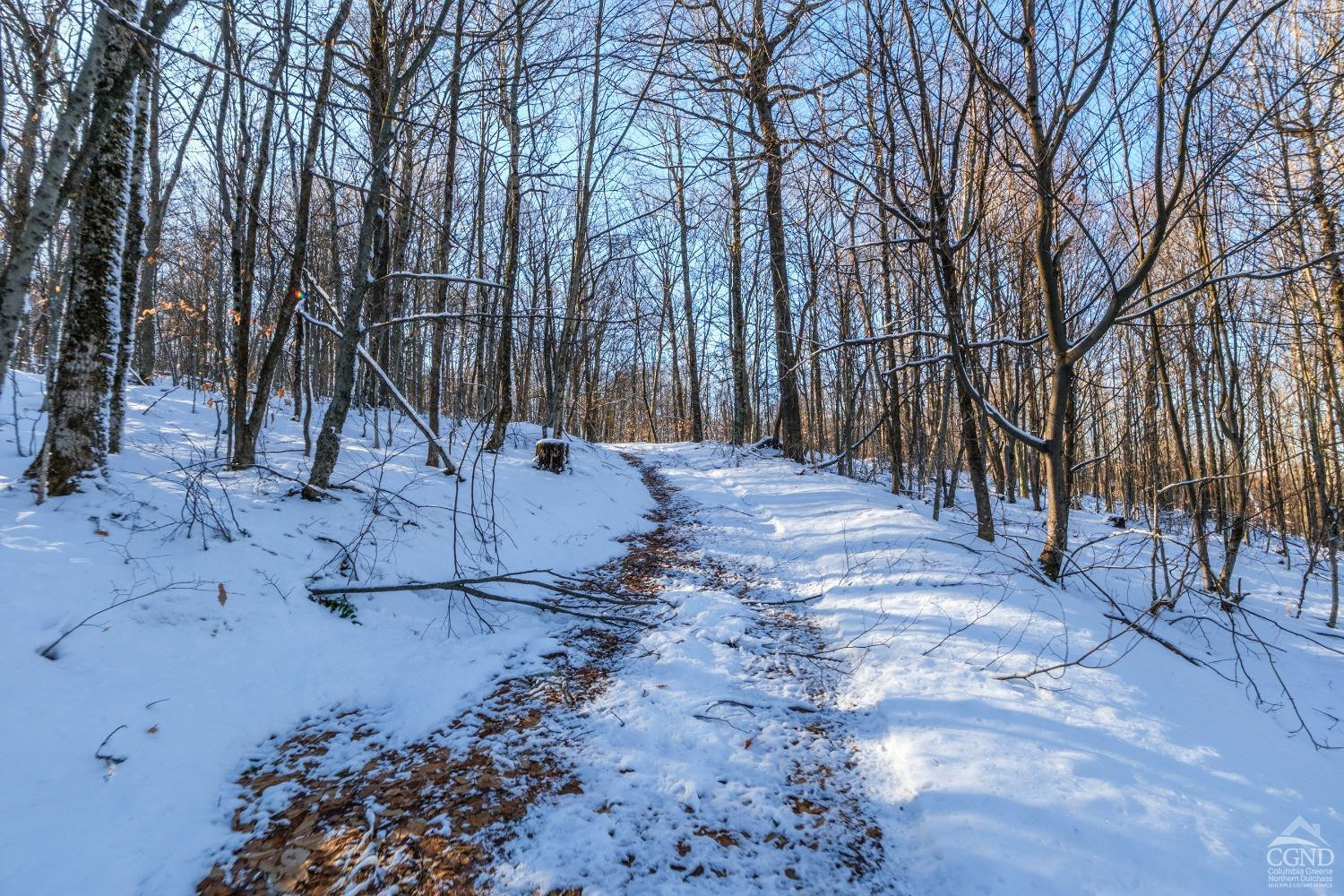 0 State Route 28 Andes, NY 13731 - Photo 22 of 34 a view of a yard with a tree