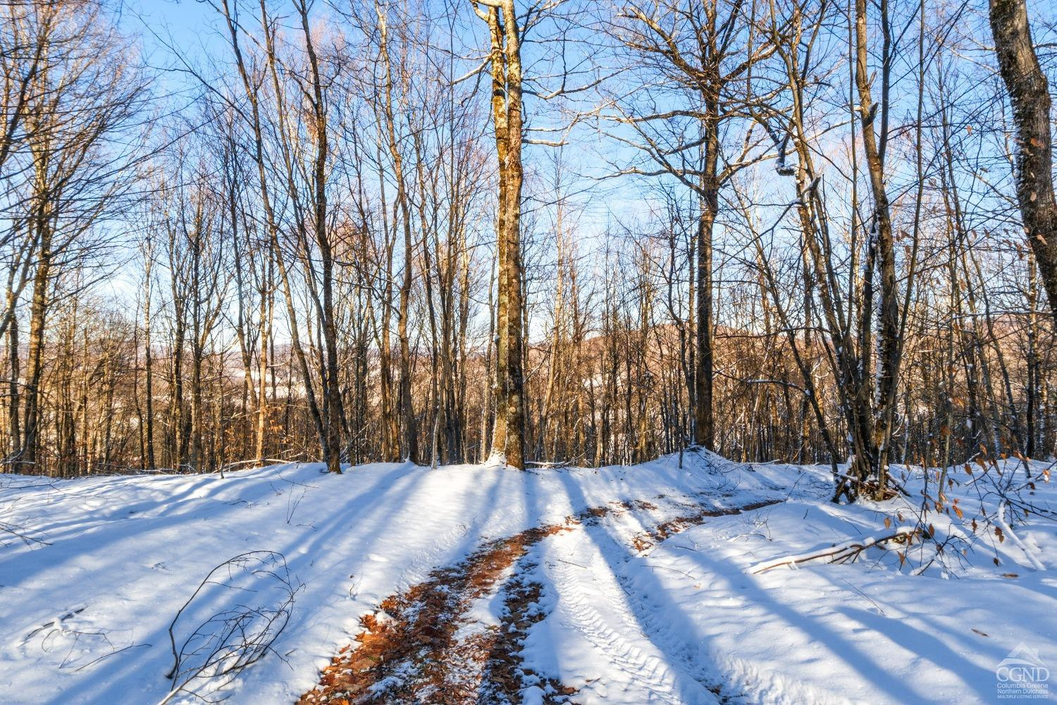 0 State Route 28 Andes, NY 13731 - Photo 24 of 34 a view of backyard space