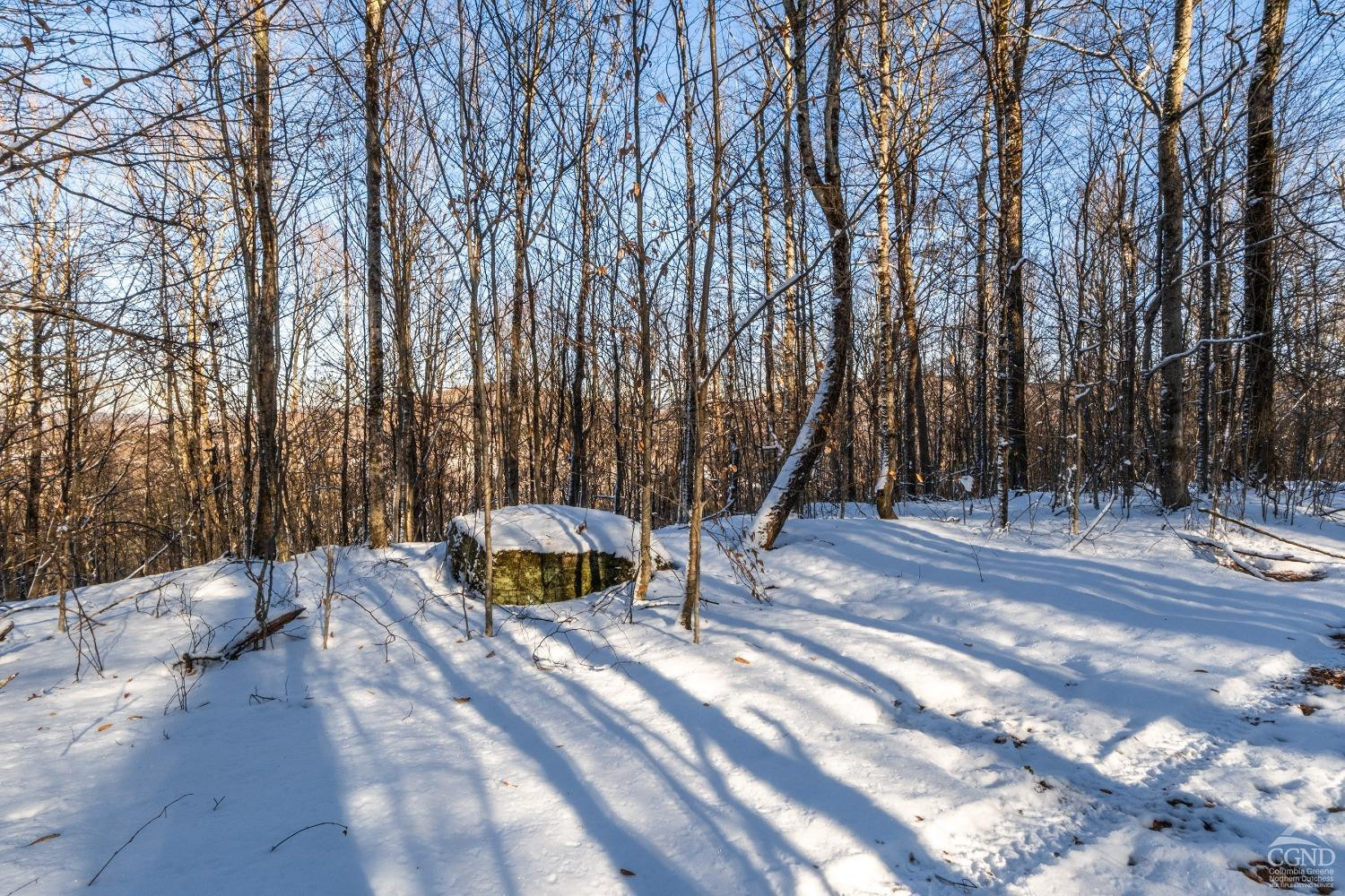 0 State Route 28 Andes, NY 13731 - Photo 25 of 34 a view of a bench in a backyard of the house