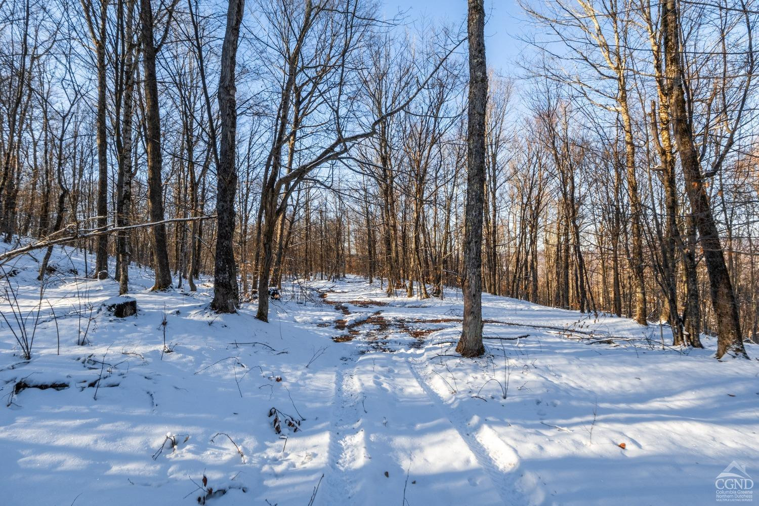 0 State Route 28 Andes, NY 13731 - Photo 27 of 34 a backyard of a house with lots of green space