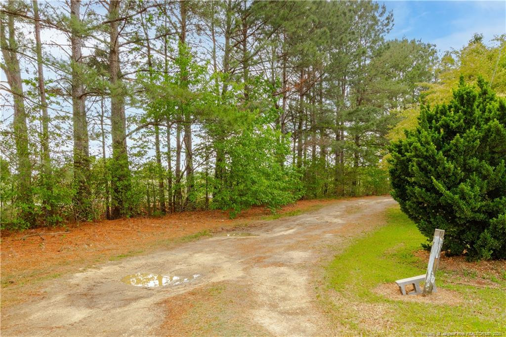 231 Knight Lane Autryville, NC 28318 - Photo 7 of 27 a view of a yard with large trees