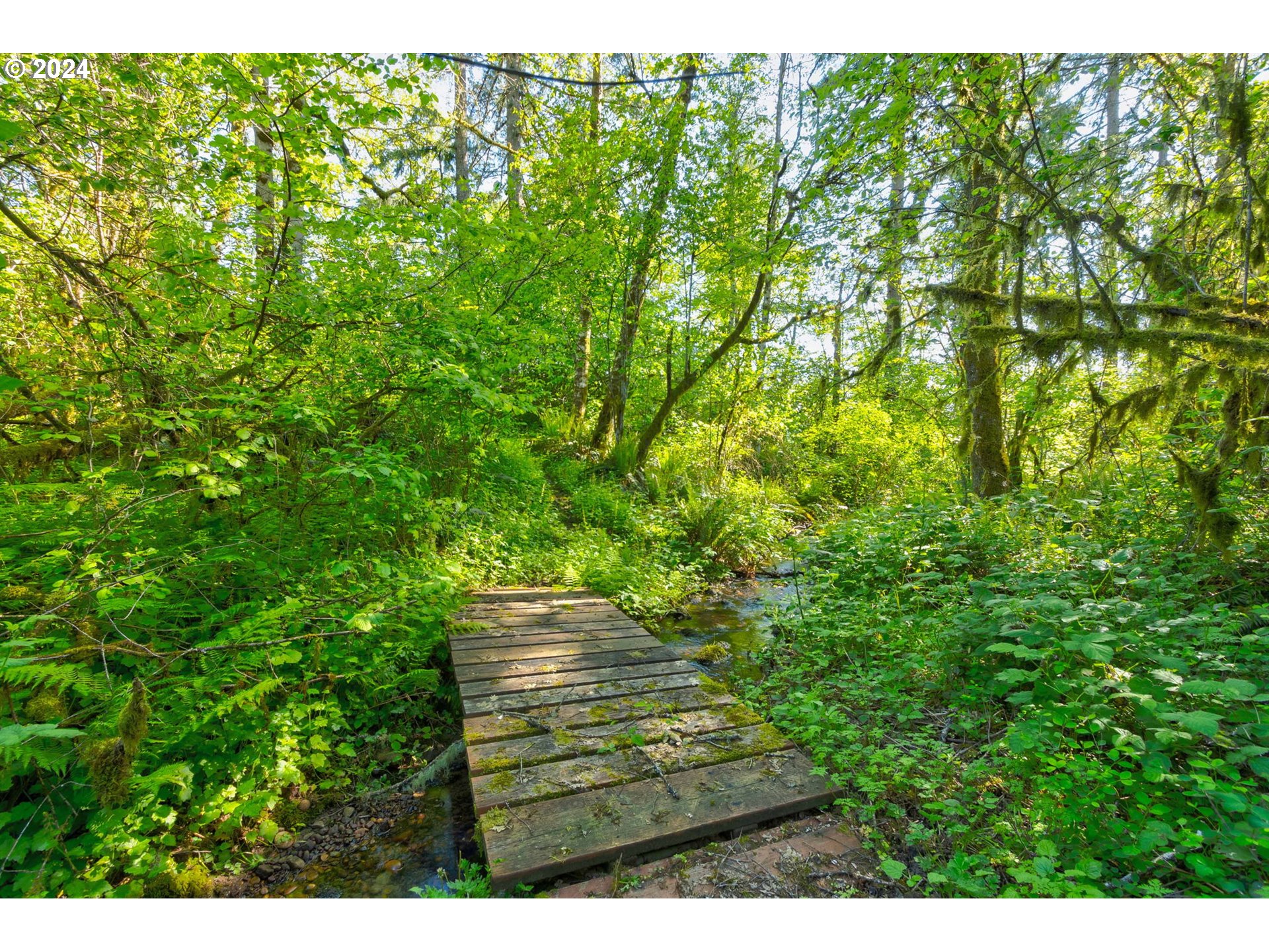 30121 Northeast Harrison Road Battle Ground, WA 98604 - Photo 31 of 40 a view of outdoor space and yard
