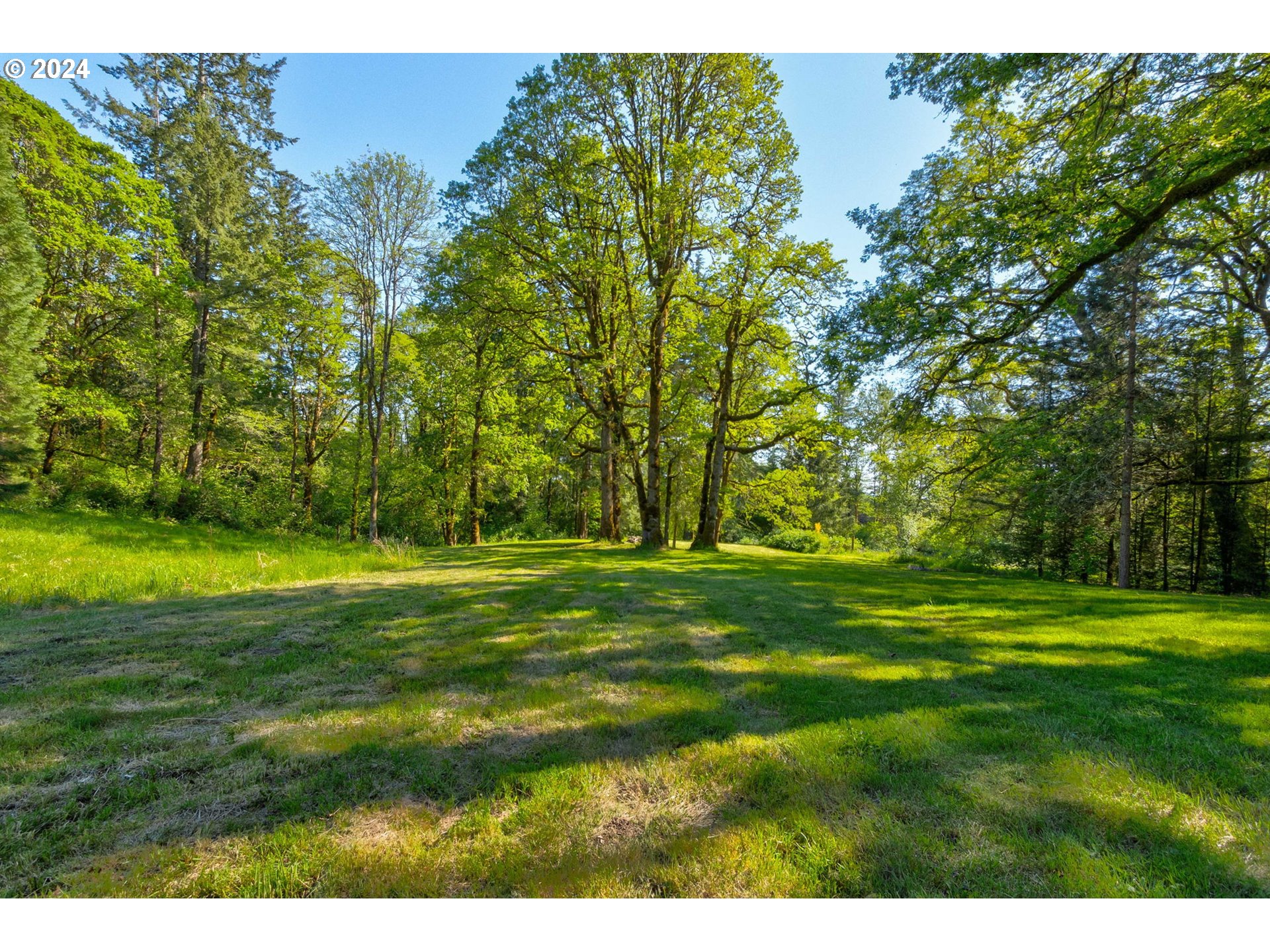 30121 Northeast Harrison Road Battle Ground, WA 98604 - Photo 10 of 40 a view of a grassy field