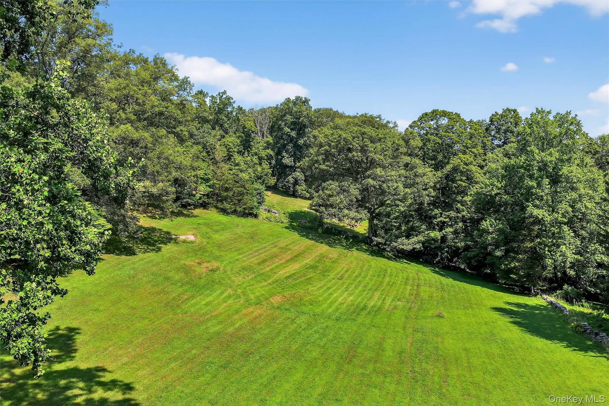 433 Arcady Road Ossining, NY 10562 - Photo 20 of 21 a view of a trees with a yard