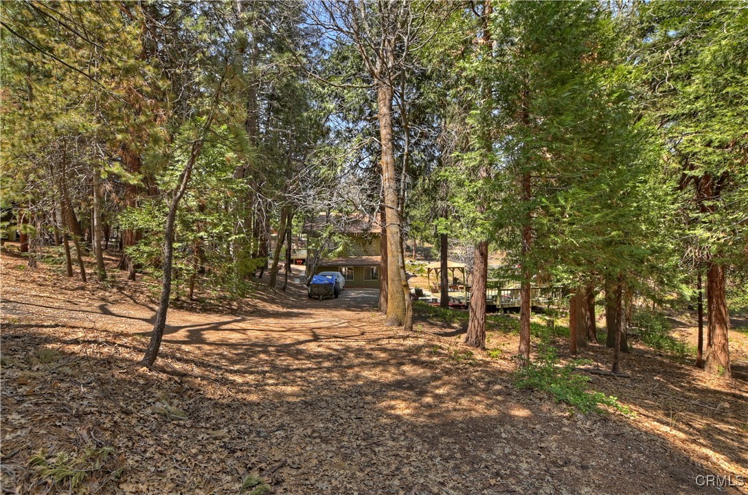 675 Burnt Mill Road Lake Arrowhead, CA 92352 - Photo 30 of 46