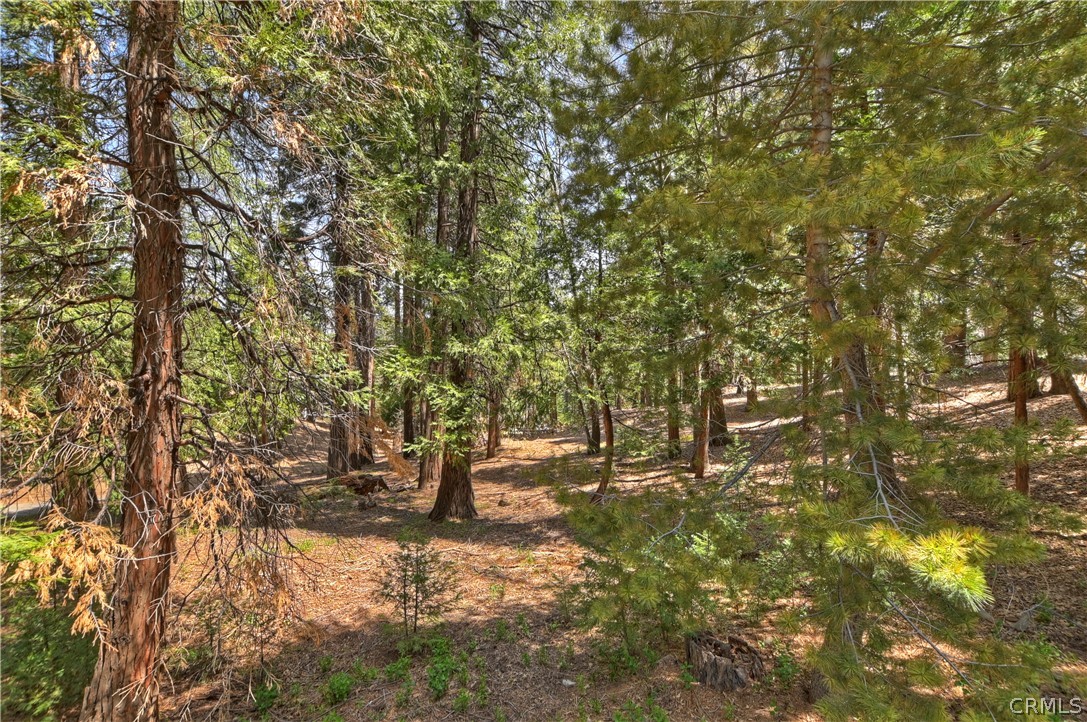 675 Burnt Mill Road Lake Arrowhead, CA 92352 - Photo 33 of 46