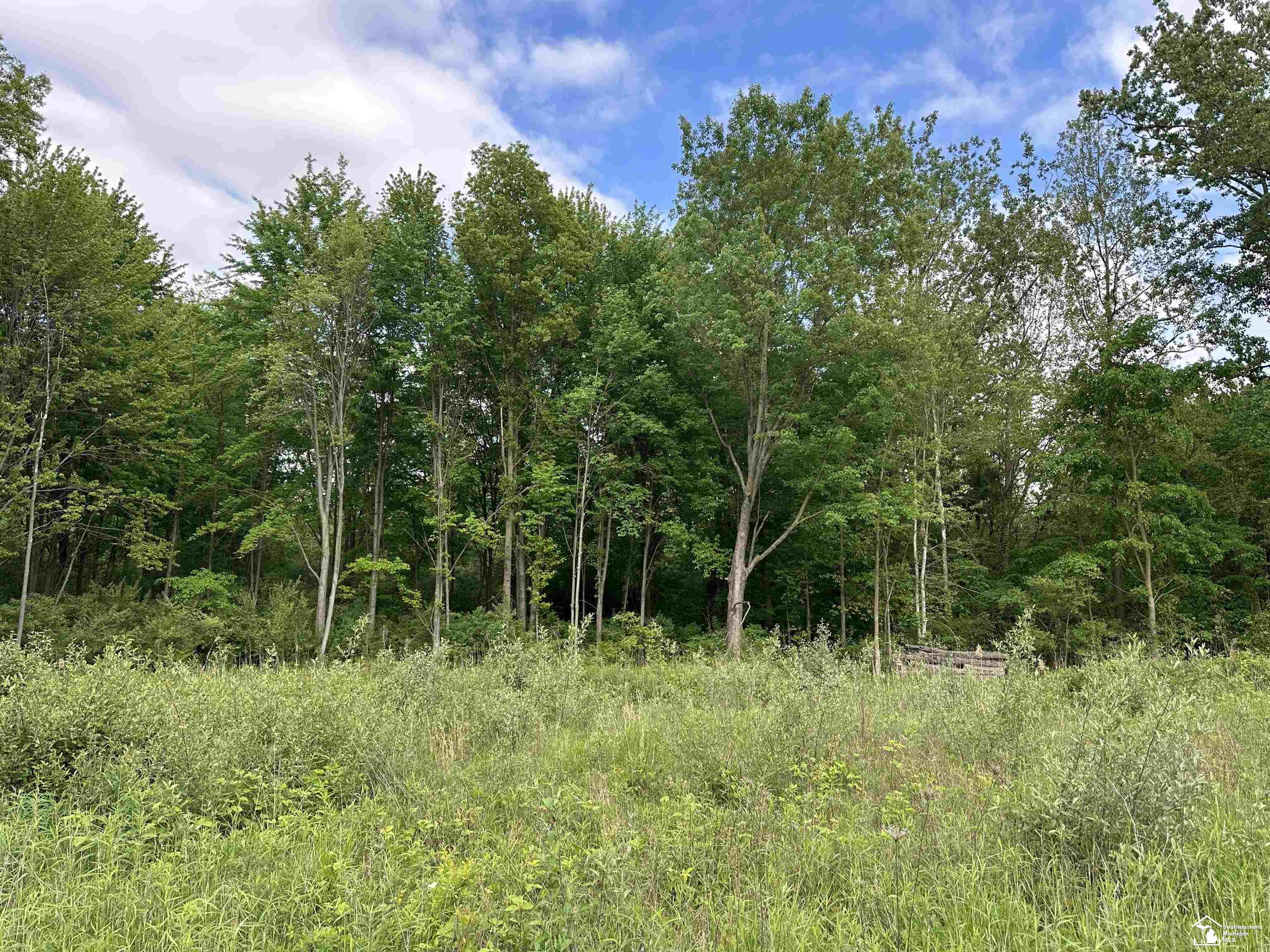 3886 Douglas Road Petersburg, MI 49270 - Photo 10 of 12
