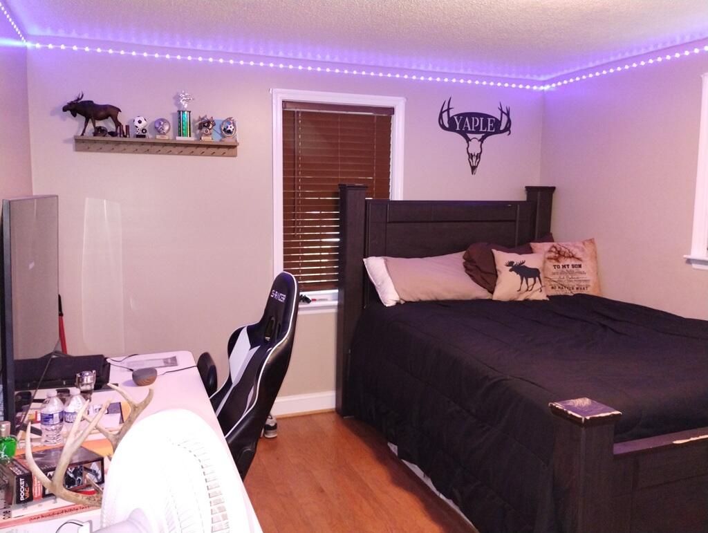 227 Vista View Lane Ridgeway, VA 24148 - Photo 27 of 45 a bedroom with furniture and a wooden floor