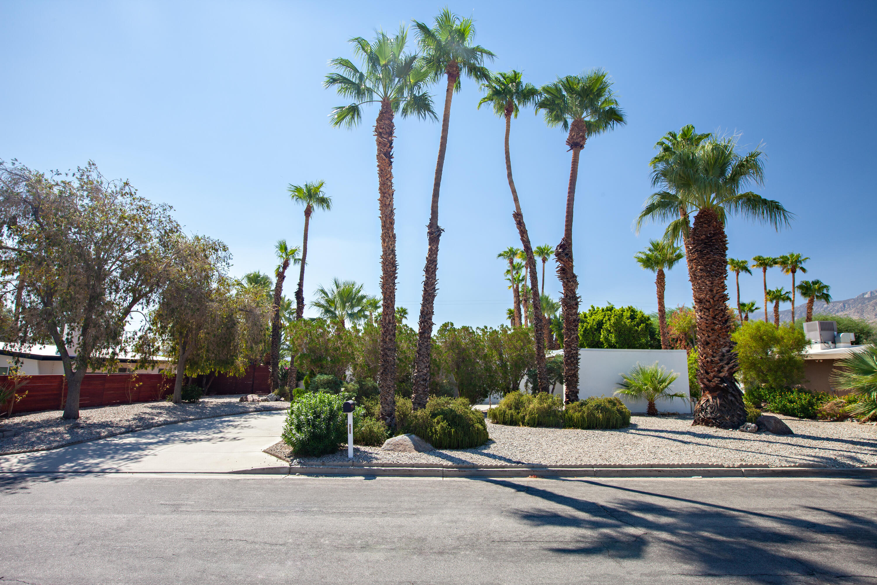 3033 East Verona Road Palm Springs, CA 92262 - Photo 1 of 23 a view of a park with a palm tree