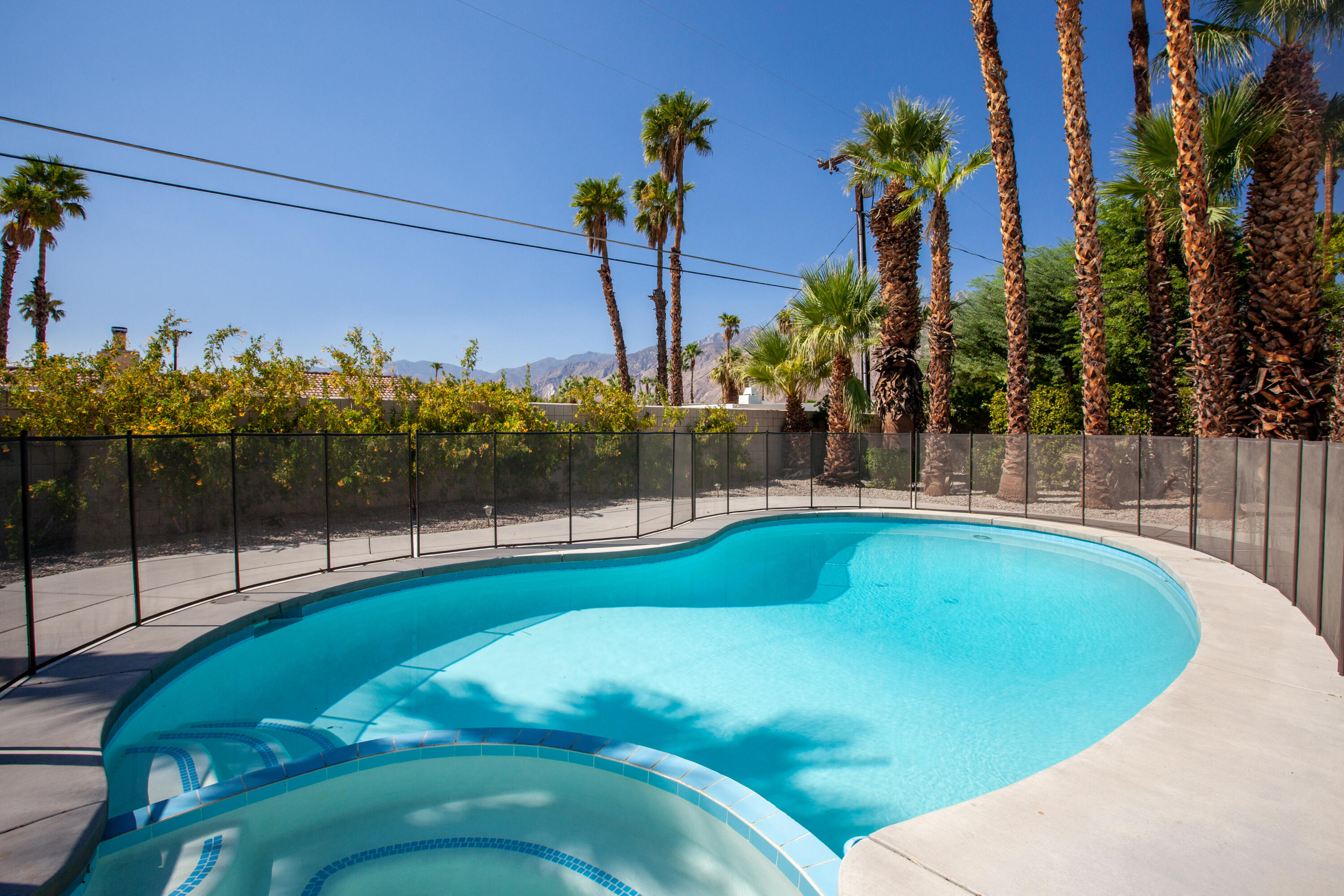 3033 East Verona Road Palm Springs, CA 92262 - Photo 11 of 23 a view of a swimming pool with a yard and palm trees