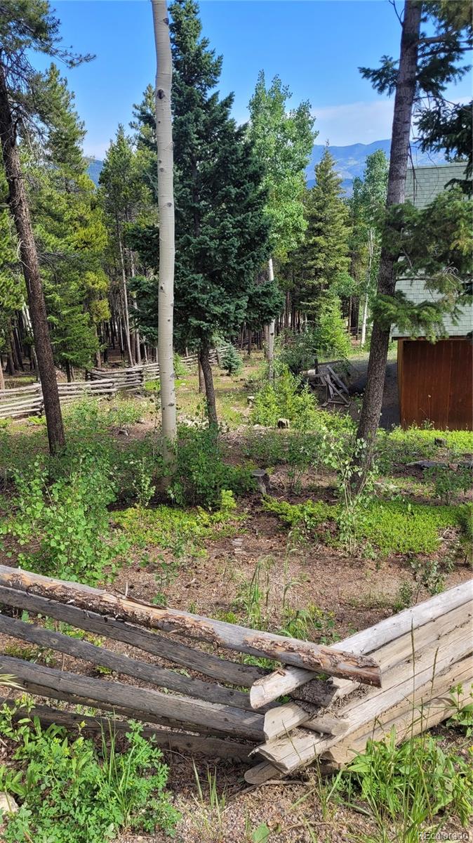 2339 Sinton Road Evergreen, CO 80439 - Photo 9 of 16 a view of a garden