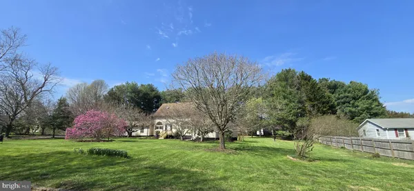 a garden view