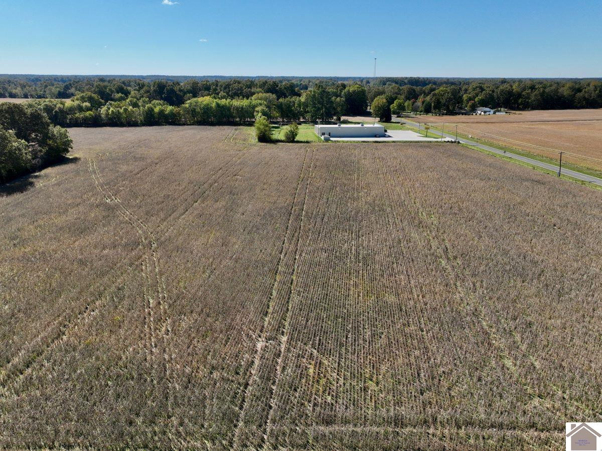 0 Kirksey Road Murray, KY 42071 - Photo 10 of 31 Photo 10