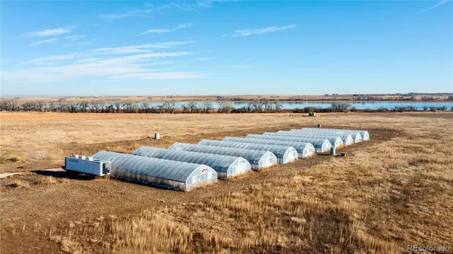 a front view of a house with yard
